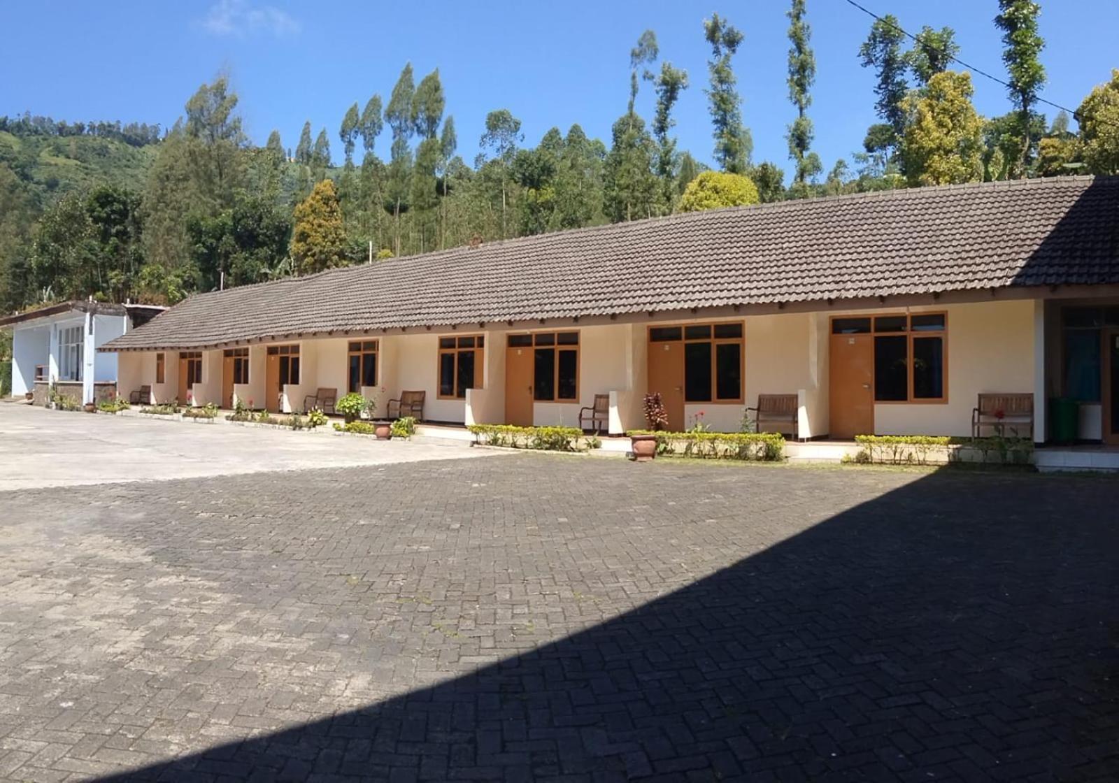 Hotel Nadia Bromo Eksteriør billede