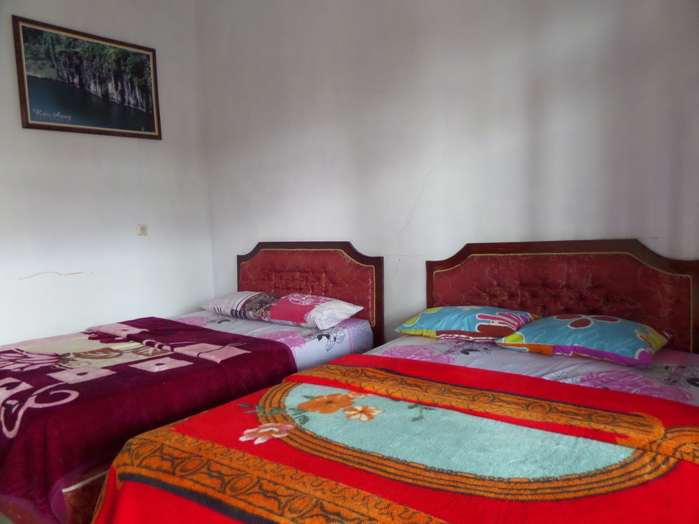 Hotel Nadia Bromo Eksteriør billede